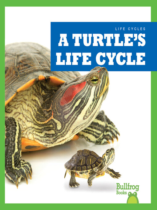 Title details for A Turtle's Life Cycle by Jamie Rice - Available